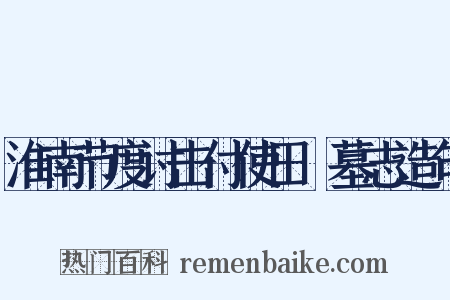 淮南节度讨击付使田侁墓志造句是什么意思的图片